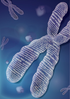 Human-disease