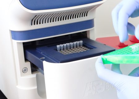Genolife Laboratorio de estudios genéticos en Hermosillo Mexico pruebas de ADN (5) Genolife Laboratorio de estudios genéticos en Hermosillo Mexico pruebas de ADN (5)