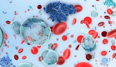 Liquid Biopsy biopsia liquida genolife
células circulantes tumorales
CTCs
